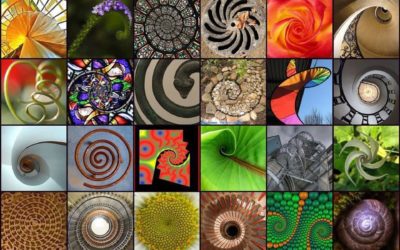 C2 – La spirale, source de vie