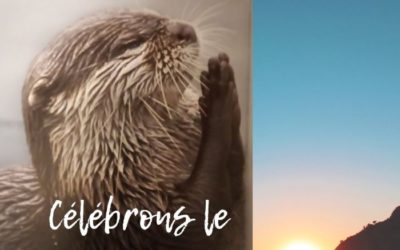 C1 – CELEBRER LE VIVANT